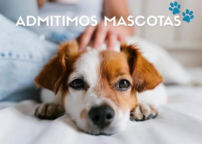 Jaca 3000 Διαμέρισμα
